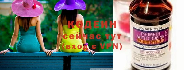 крисы Няндома