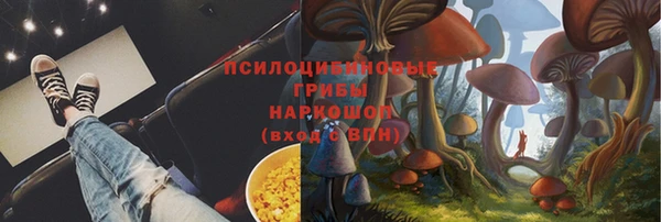 ешки Вязники