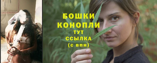 крисы Няндома