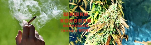 spice Шадринск
