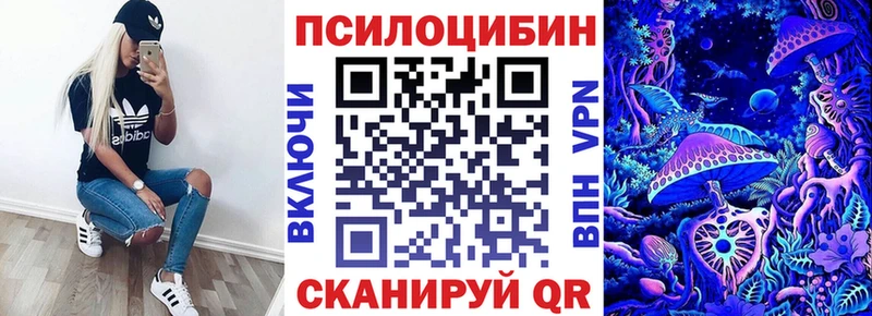 Псилоцибиновые грибы Cubensis  omg вход  Нягань 